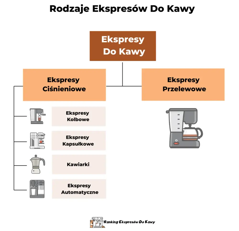 rodzaje ekpresow do kawy inforgrafika
